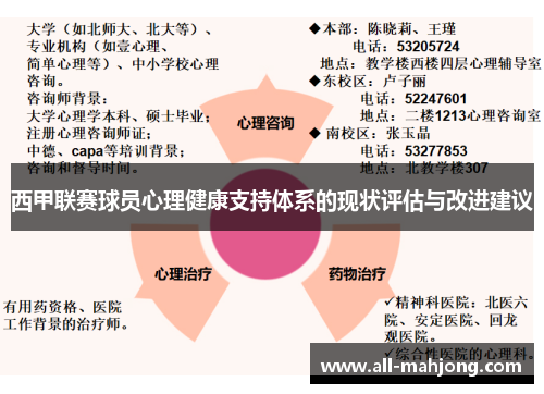 西甲联赛球员心理健康支持体系的现状评估与改进建议 西甲联赛球员心理健康支持体系的现状评估与改进建议