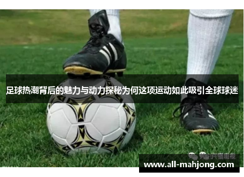 足球热潮背后的魅力与动力探秘为何这项运动如此吸引全球球迷 足球热潮背后的魅力与动力探秘为何这项运动如此吸引全球球迷