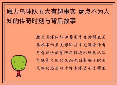 魔力鸟球队五大有趣事实 盘点不为人知的传奇时刻与背后故事 魔力鸟球队五大有趣事实 盘点不为人知的传奇时刻与背后故事